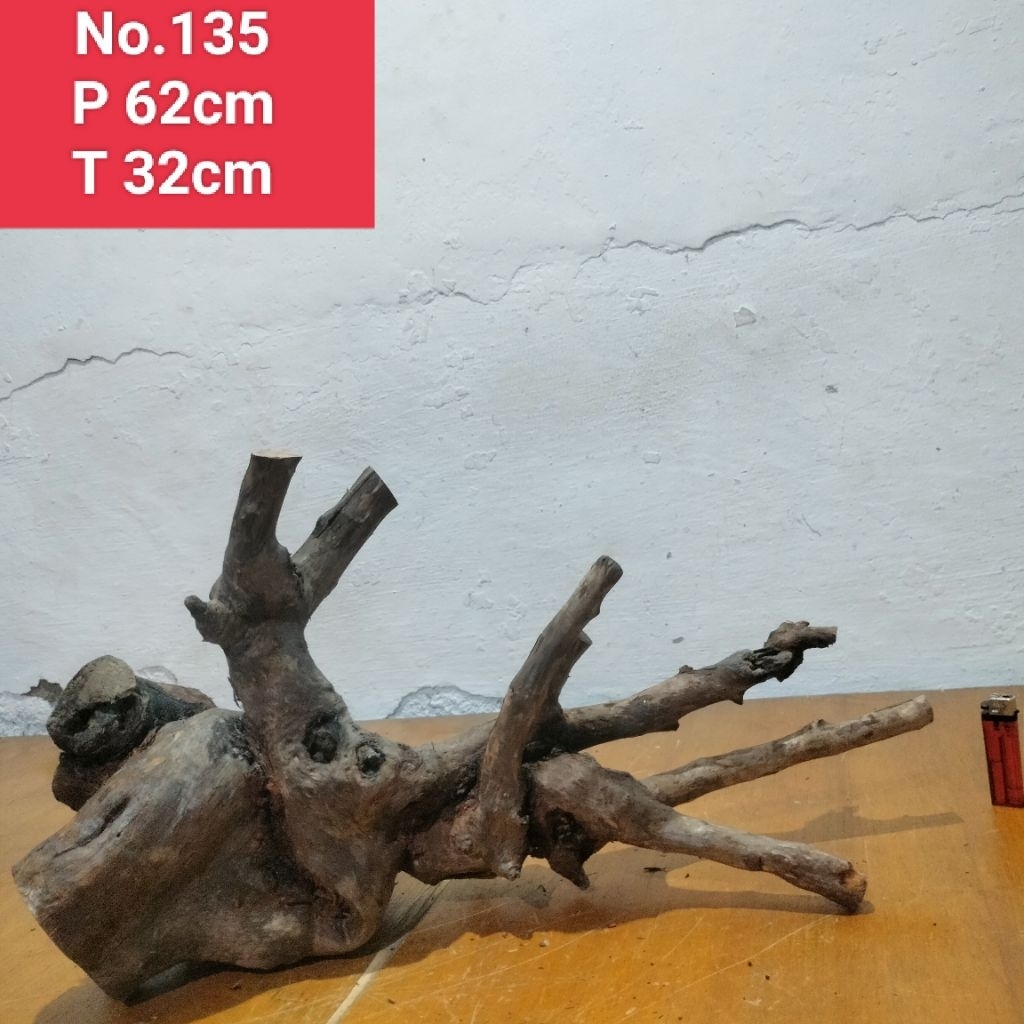 bonggol Akar santigi laut akar dekorasi aquascape aquarium 135