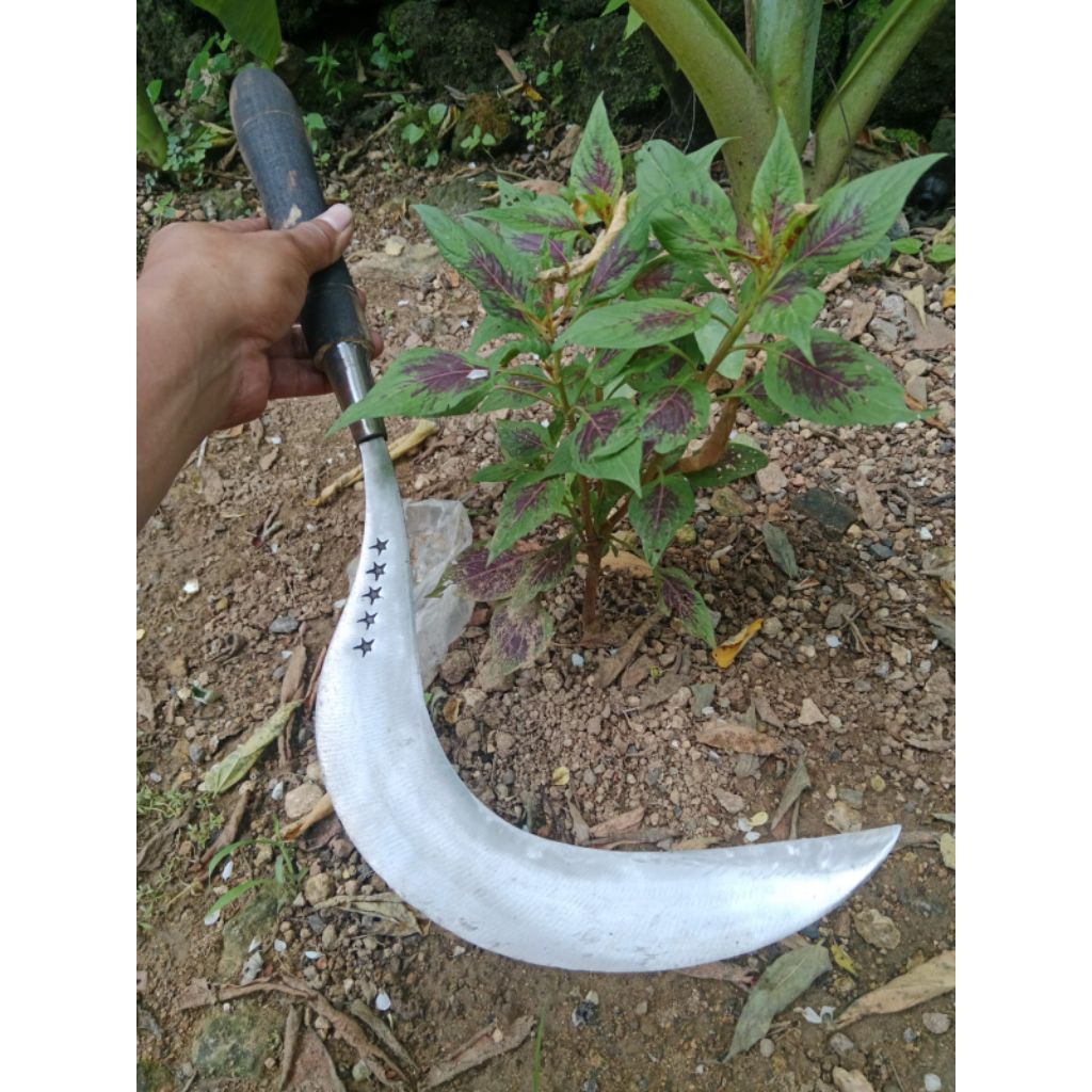 sabit rumput bintang lima bahan baja asli Madura pertanian