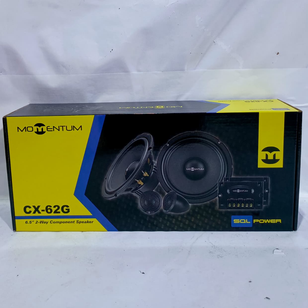 Speaker Momentum CX-62G Split 2 way component