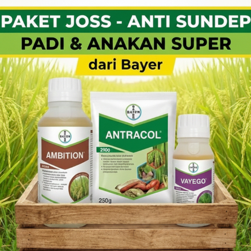 Paket Padi Joss anti sundep dan anakan super dari Bayer Vayego 100ml, Antracol 250gr, Ambition 500ml