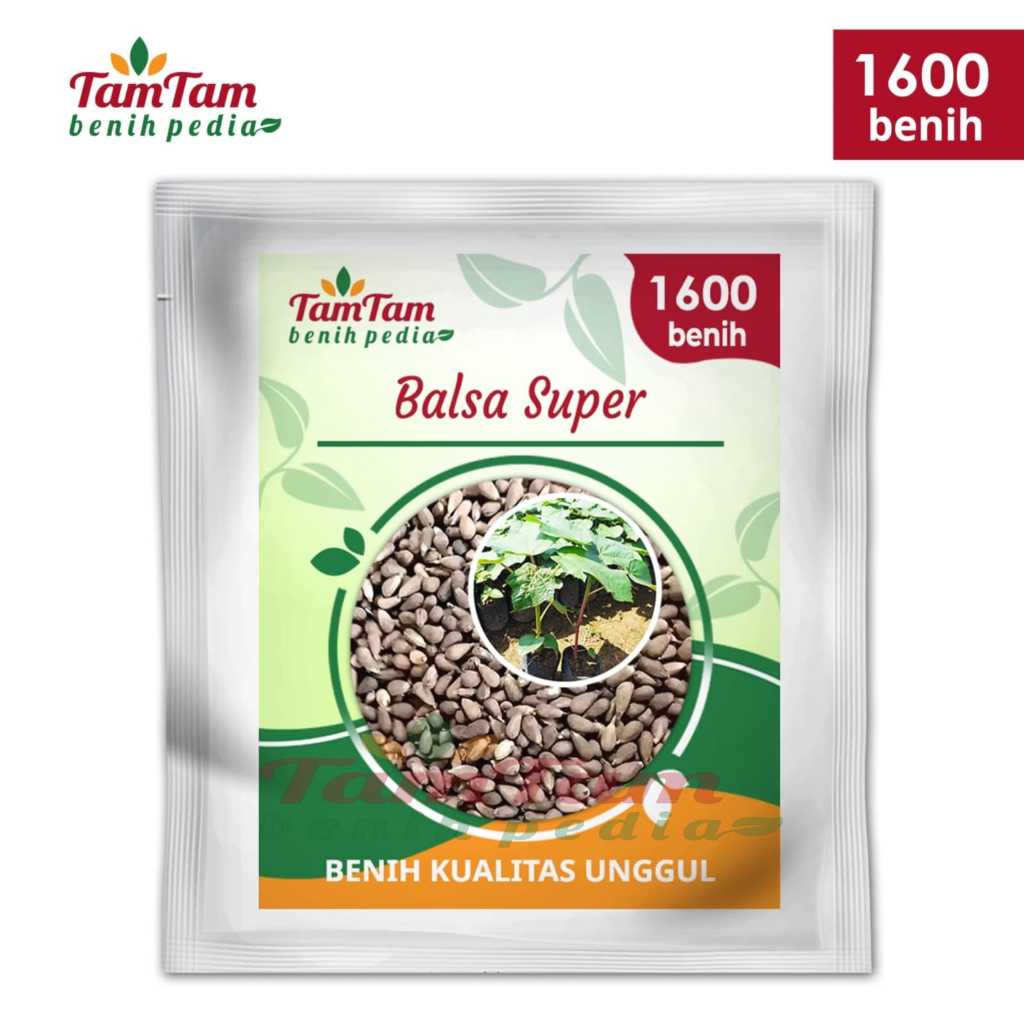 1.600 biji Benih BALSA Super , benih biji pohon balsa super