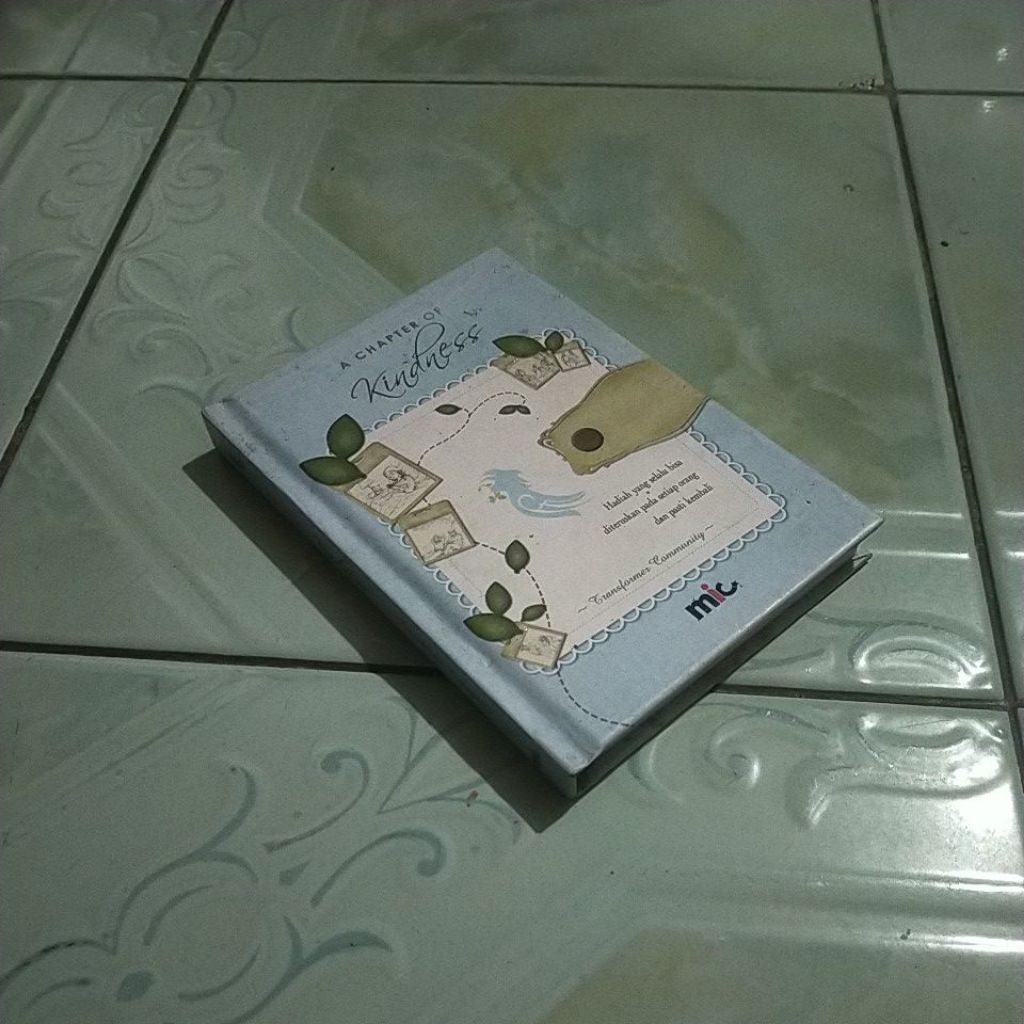 novel A CHAPTER OF KINDNESS