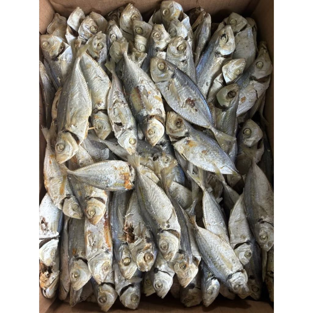 ikan asin selar rebus khas lampung bersih kering murah 250 grm