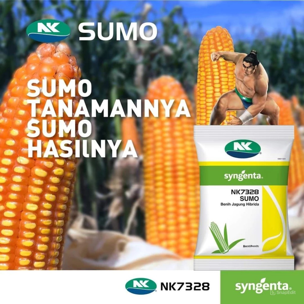 Syngenta Benih Jagung NK 7328 SUMO 1KG - Benih Jagung NK SUMO 1KG