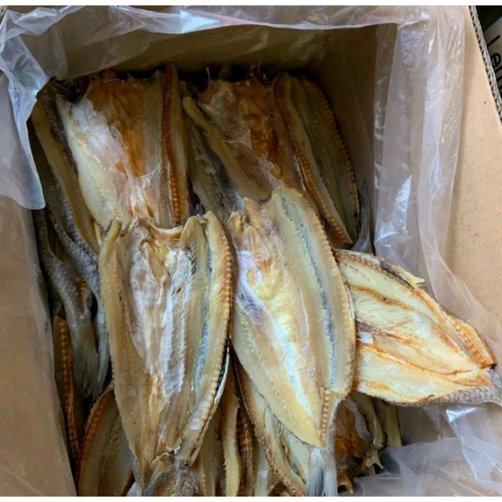 Ikan Gabus Bloso Asin Ikan Asin Bloso Gurih COD Termurah 500 gram