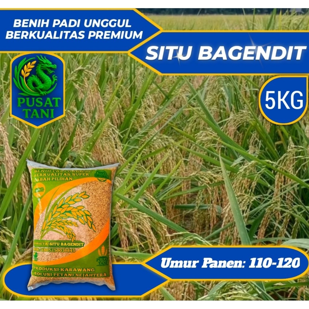 BENIH PADI SITU BAGENDIT KEMASAN ORIGINAL 5KG
