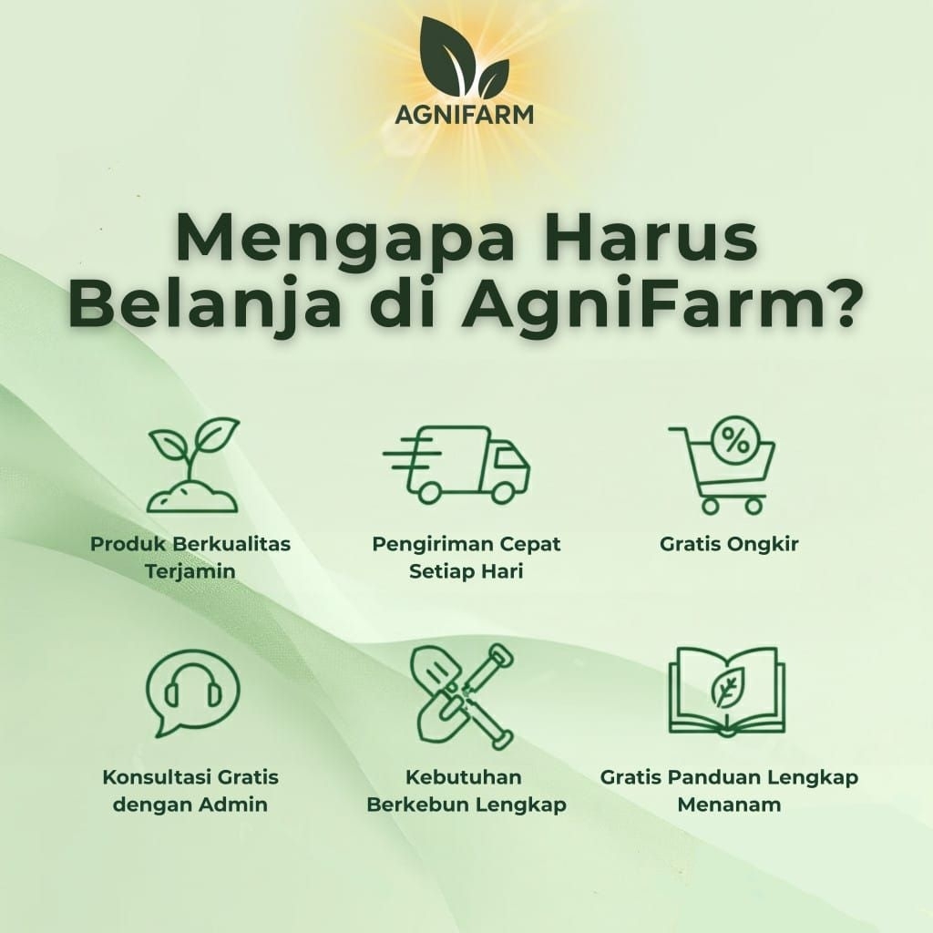 Paket Lengkap Instalasi Hidroponik DFT Skala Rumahan, Instalasi dan mudah, bahan tebal, kualitas