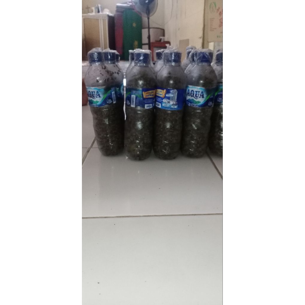 Andaliman Bumbu khas Batak