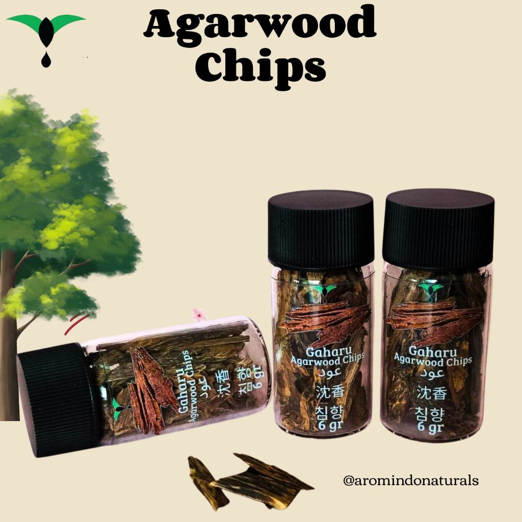 Kayu Gaharu 6gr Kalimantan Barat Agarwood West Kalimantan 6gr Chips Berkualitas Tinggi