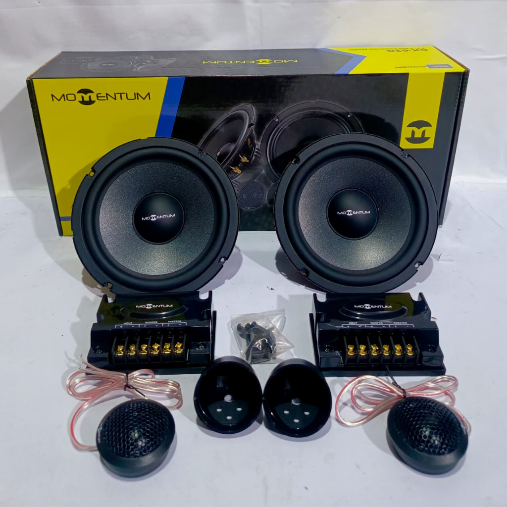 Speaker Momentum CX-62G Split 2 way component