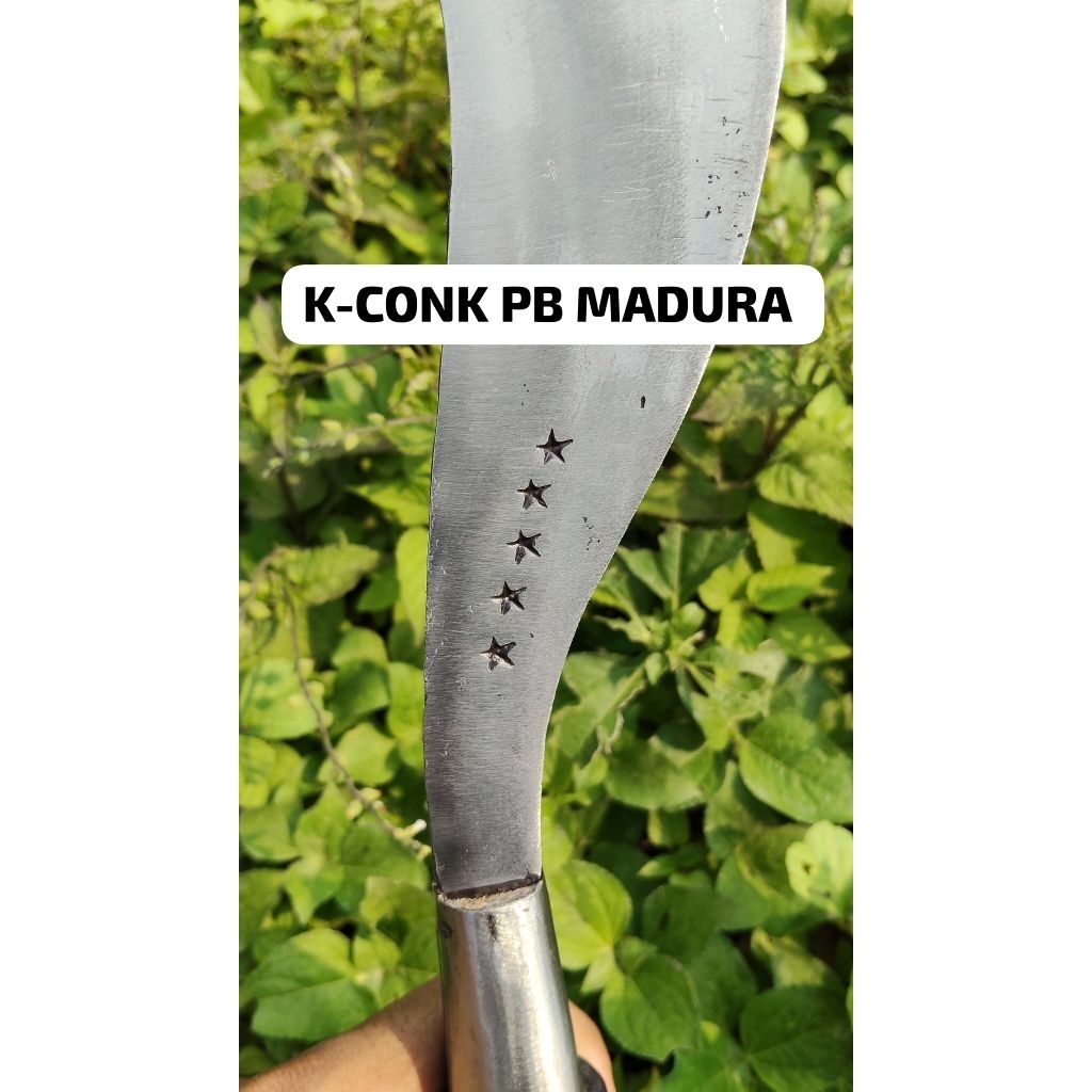 arit/sabit rumput alat tani tradisional asli baja madura