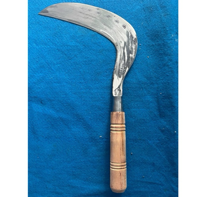 Arit rumput baja isen selap asli wonosobo