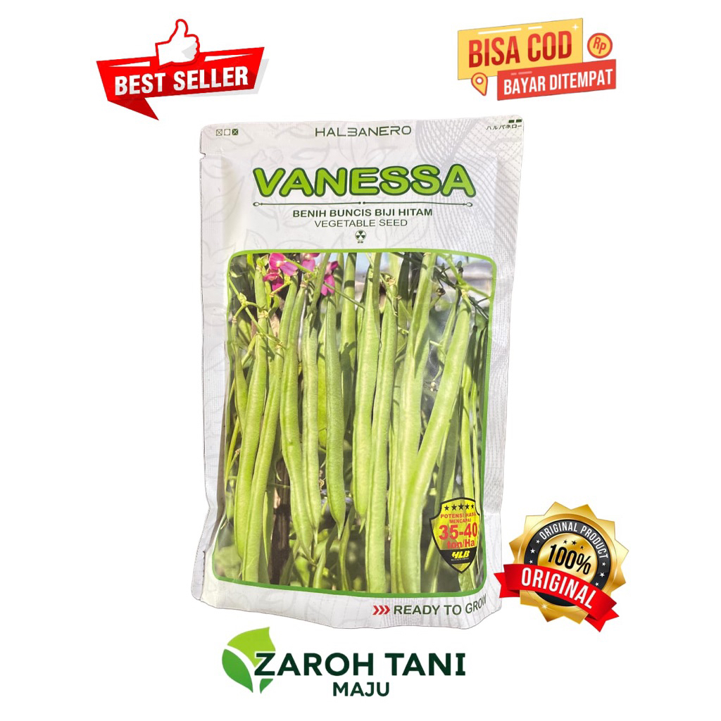 Benih BUNCIS VANESSA 500gr