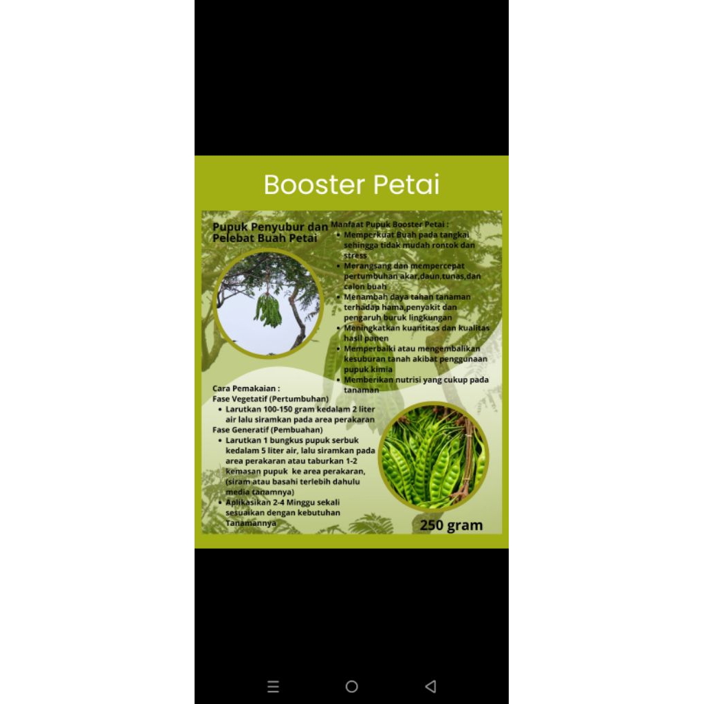 booster petai