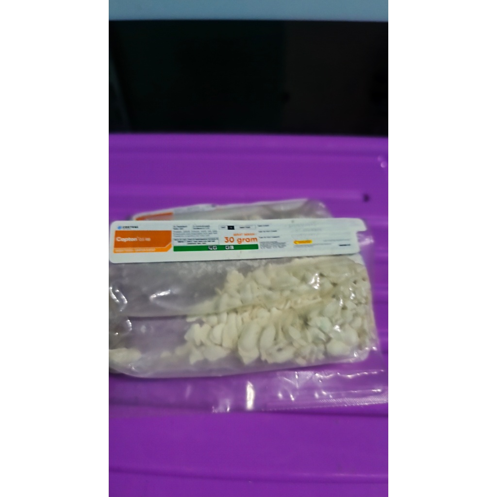 umpan rayap copton 30gr umpan rayao ag paling ampuh untuk mematikan coloni rayap