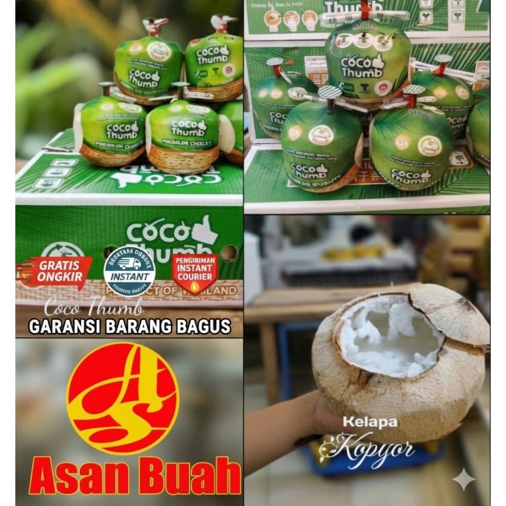 Buah Kelapa Coco thumb Pandan Wangi Manis Kopyor Puan Muda Thailand Segar seger  Daging tebal ukuran