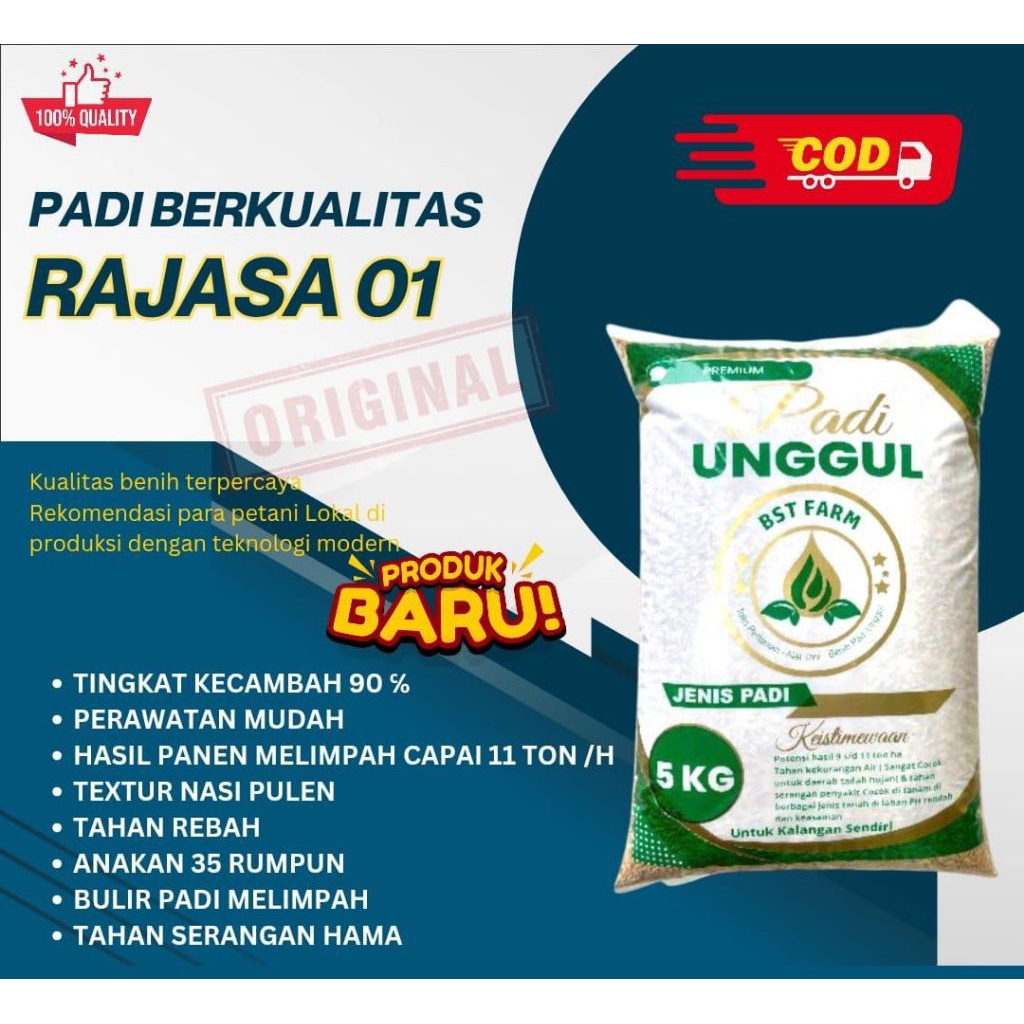 BIBIT PADI RAJASA 01 KEMASAN 5KG