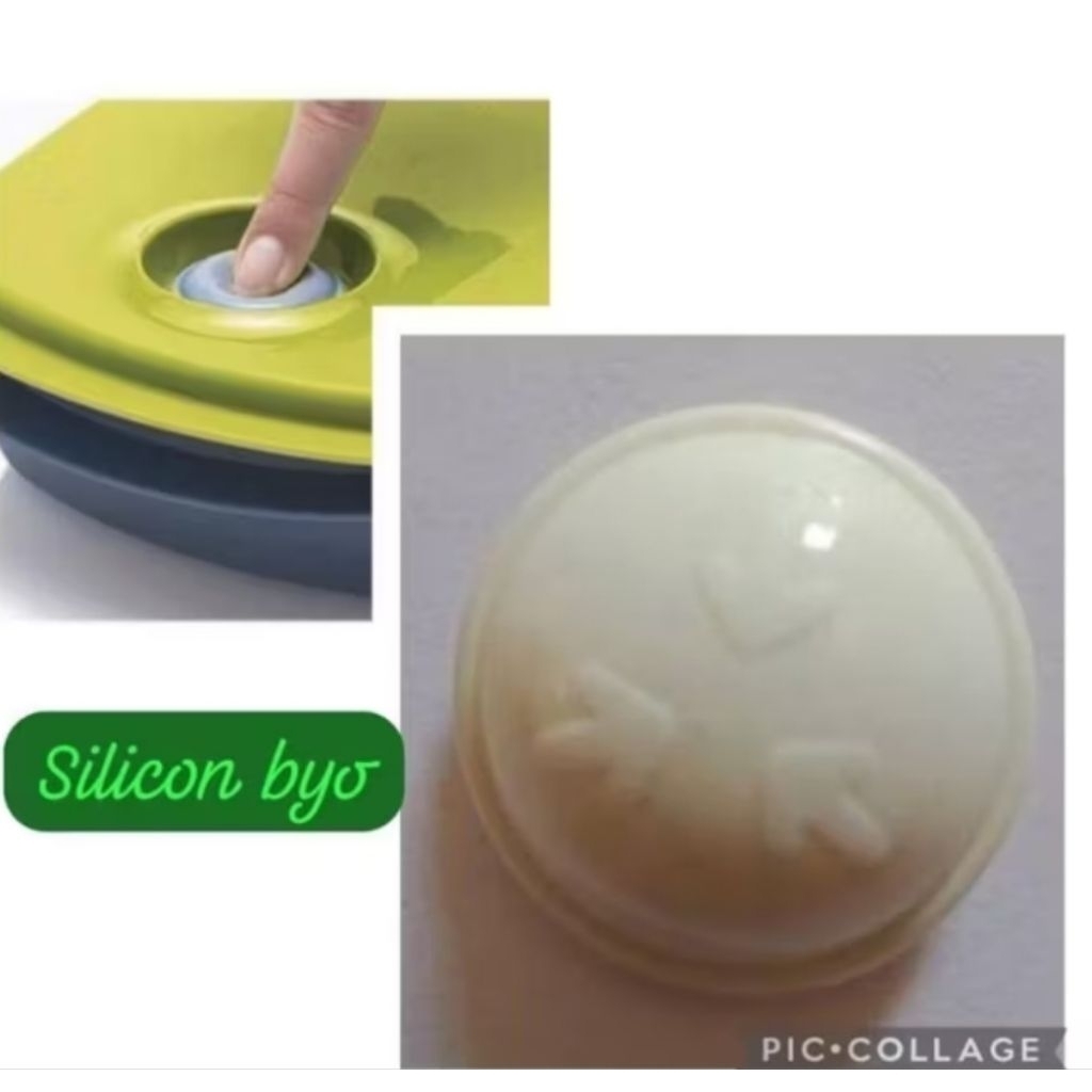 karet BYO /silicon byo tupperware