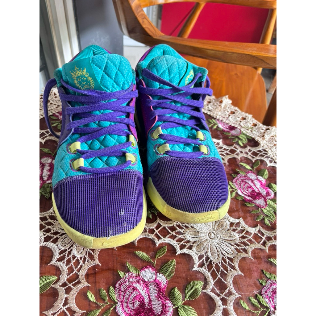 Nike LeBron Witness 8 EP – Preloved