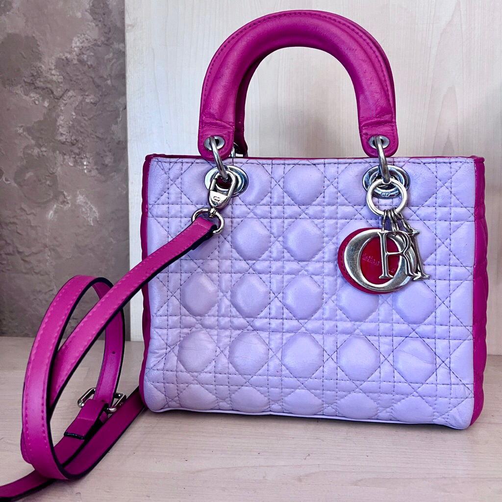 (Preloved) Lady Dior Multicolor Medium 24 cm