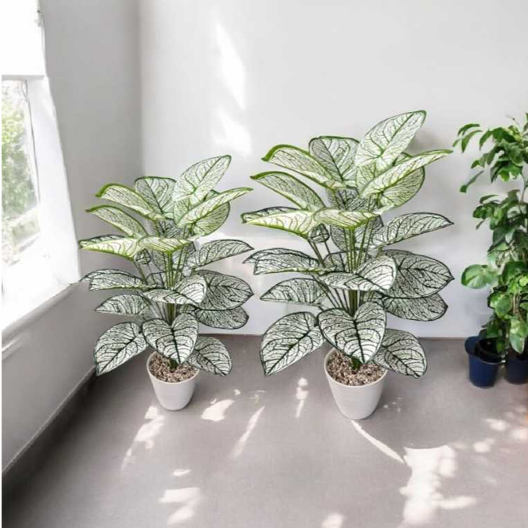 Tanaman Hias Palsu Keladi Semi Latex // Bunga Hias Dekorasi SUdut Ruangan Bunga Dan Daun Artificial