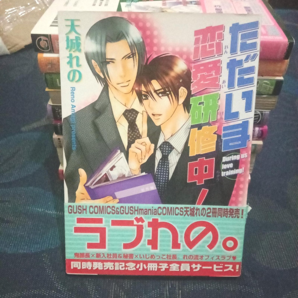 Komik BL Tadaima Renai Kenshuuchuu by Reno Amagi - Manga Import Yaoi Jepang