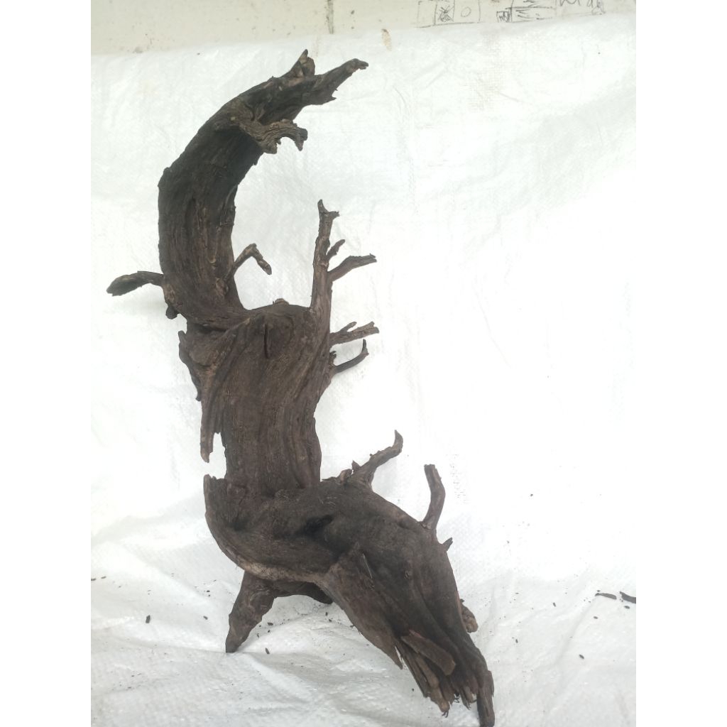 Kayu Rentek Paludarium/Aquascape/Hardscape