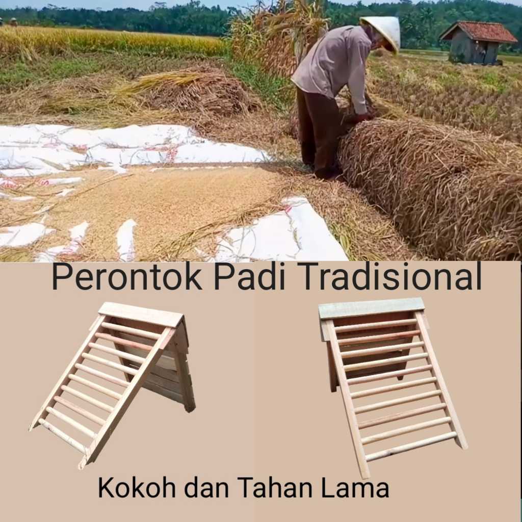Perontok Padi Manual Kokoh dan Ringan Gepyokan Padi Tradisional