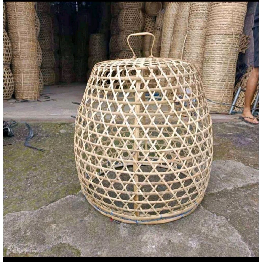 sangkar ayam bambu