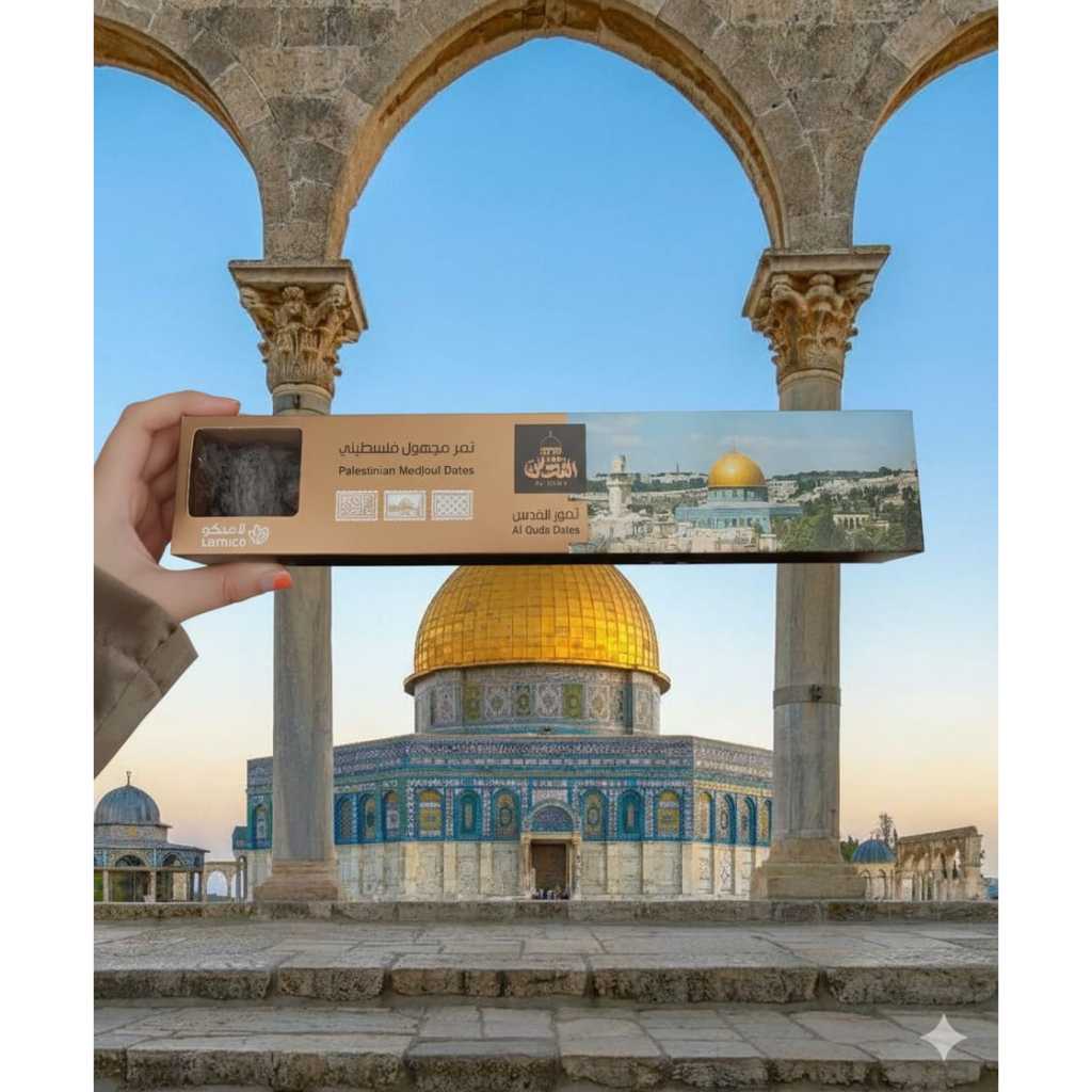 Palestinian Medjoul Dates / Kurma Medjool Palestin Premium 500 gr Elite Quality