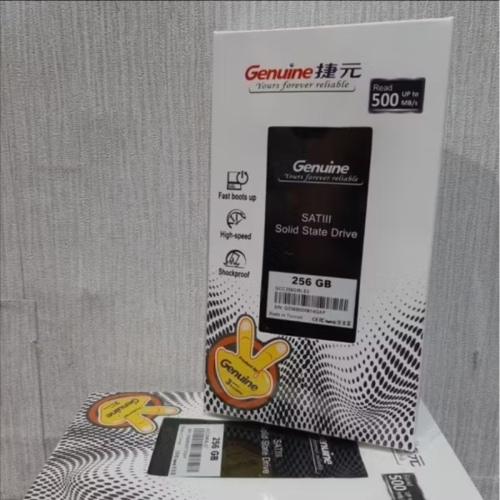 SSD GENUINE 256GB