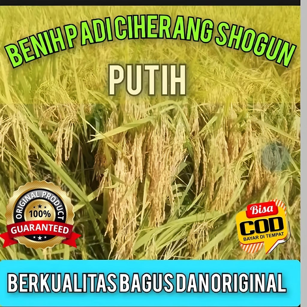 Bibit Benih Padi Ciherang Shogun Putih Unggul Berkualitas Beras Putih bersih Nasi Pulen 5kg