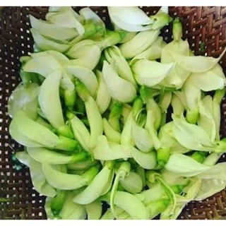 Kembang Turi / Bunga Turi Segar per 1kg