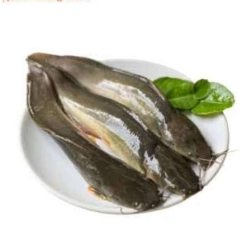 Lele Bersih Frozen 1kg