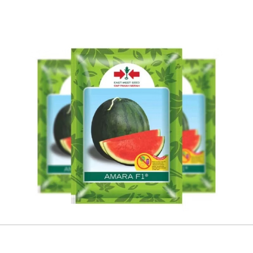 Benih Bibit Semangka Non Biji AMARA F1 360 butir