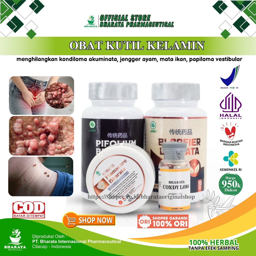 PIFOLIUM BHARATA Original Obat Kutil Kelamin Ampuh Paket Obat Herpes Genital Mata Ikan