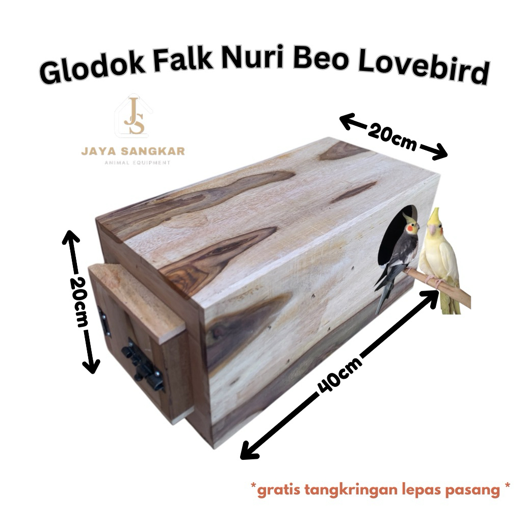 GLODOK BURUNG FALK NURI BEO DLL