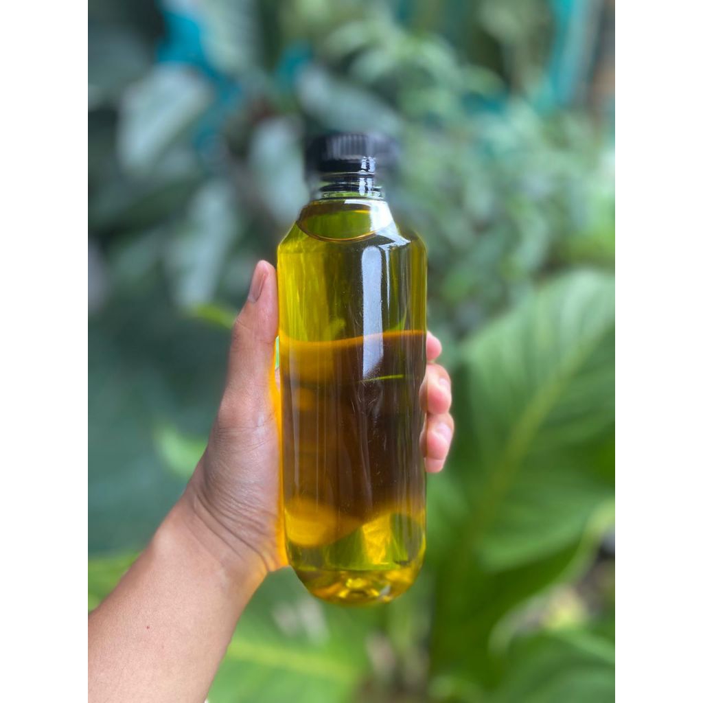 Minyak Zaitun Asli Premium || Zaitun Konsumsi || Minyak zaitun berkualitas