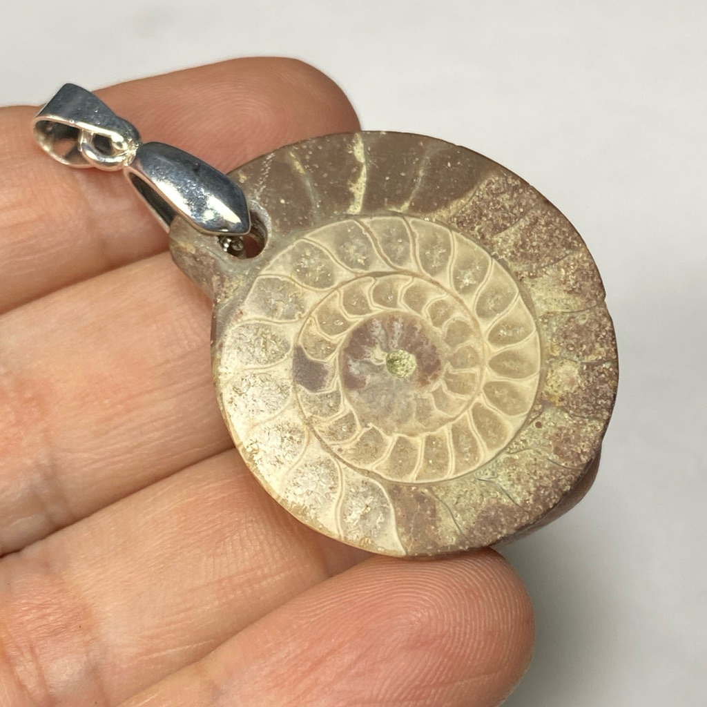 Liontin Sutured Ammonite by Request
