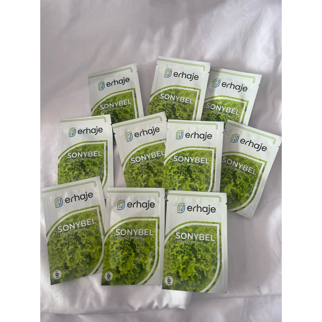 Benih Selada Bejo Sonybel