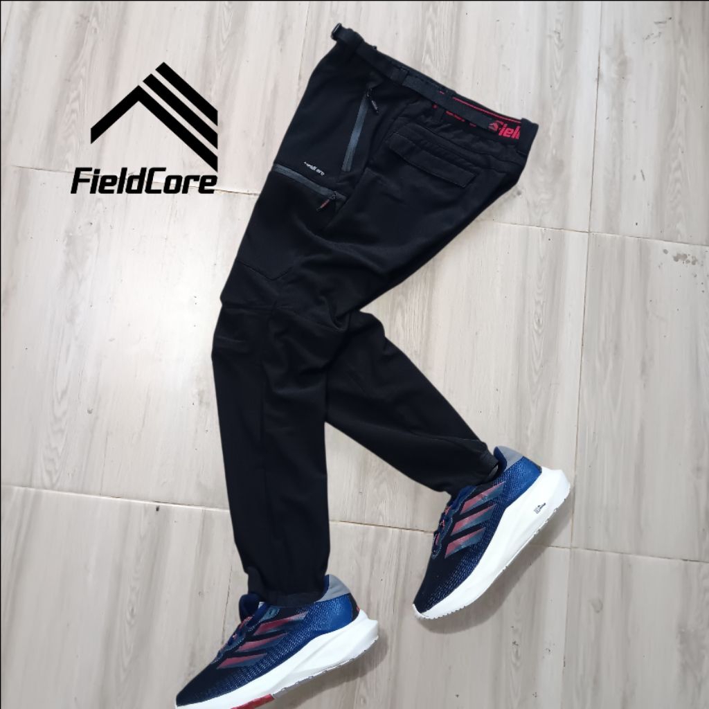 fieldcore outdoor cargo pants
