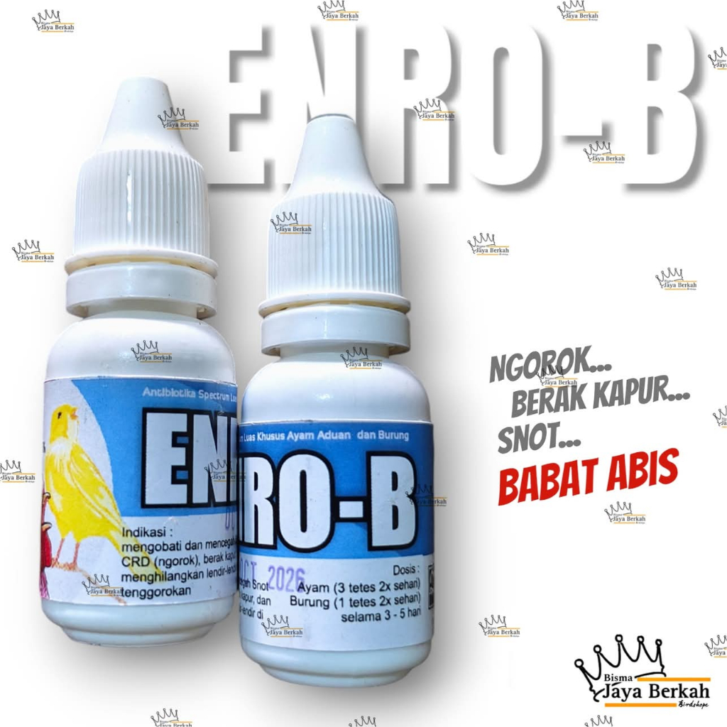 ENRO-B MENGATASI NGOROK BERAK KAPUR SNOT DLL 100 PERSEN DI JAMIN AMPUH