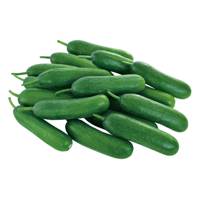 5 Benih Biji Timun THUMB SWEET