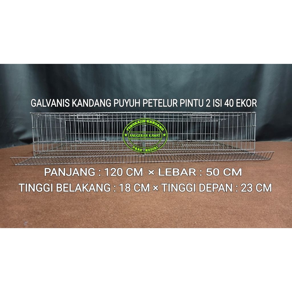 KANDANG GALVANIS PUYUH P.120 CM × L.70 CM × TD.23 × TB.18 CM PUYUH PETELUR
