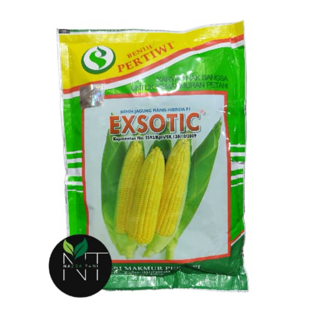 Benih Jagung Manis Hibrida Exotic 1.750 biji