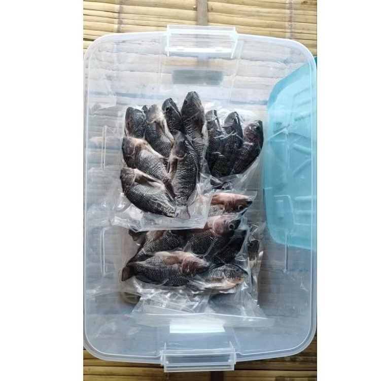 Ikan Nila Segar 1 kg - Kualitas Premium, Beku, Bersih tanpa isi perut lagi, Vakum