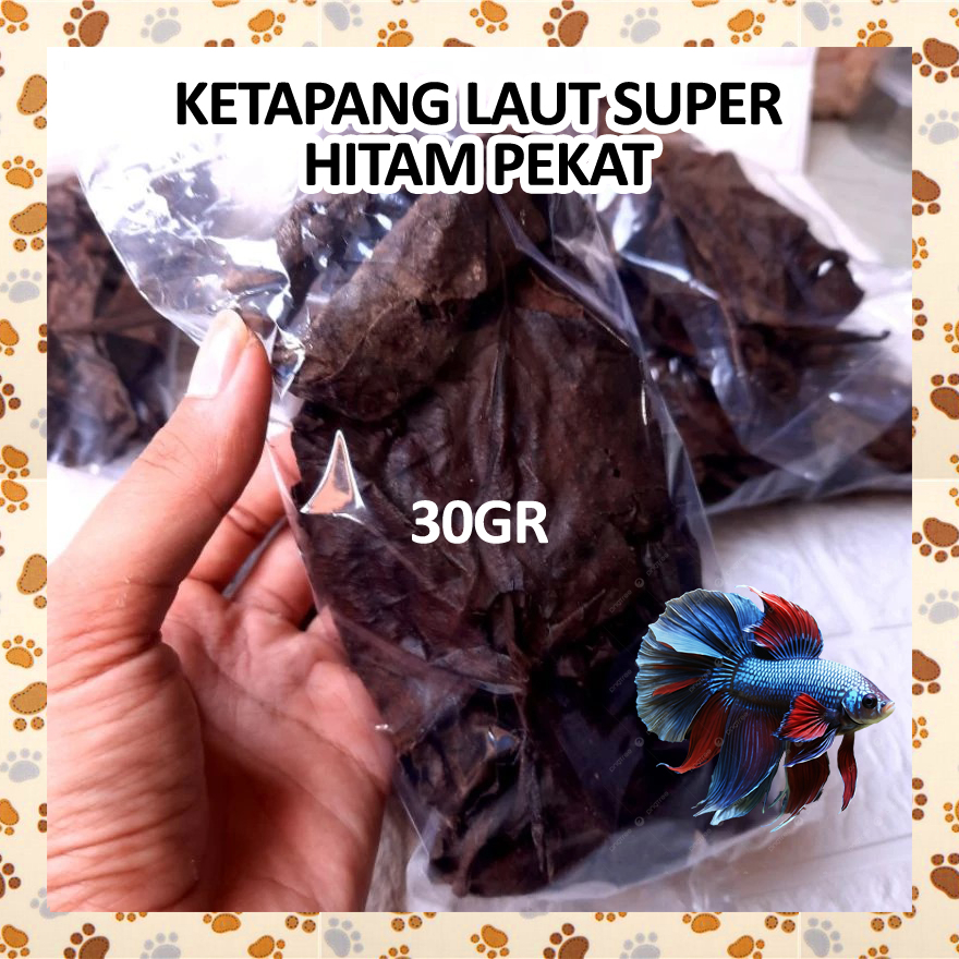 F11CE5 Daun Ketapang Laut SUPER HITAM PEKAT Fermentasi Cupang Channa Chana Kura Olahan Siap Pakai An