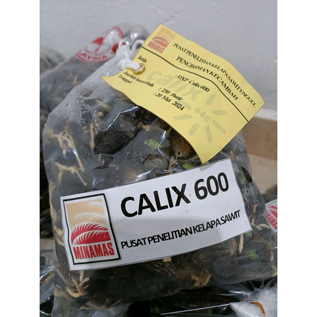 Alat untuk berkebun tanaman kelapa calix 600