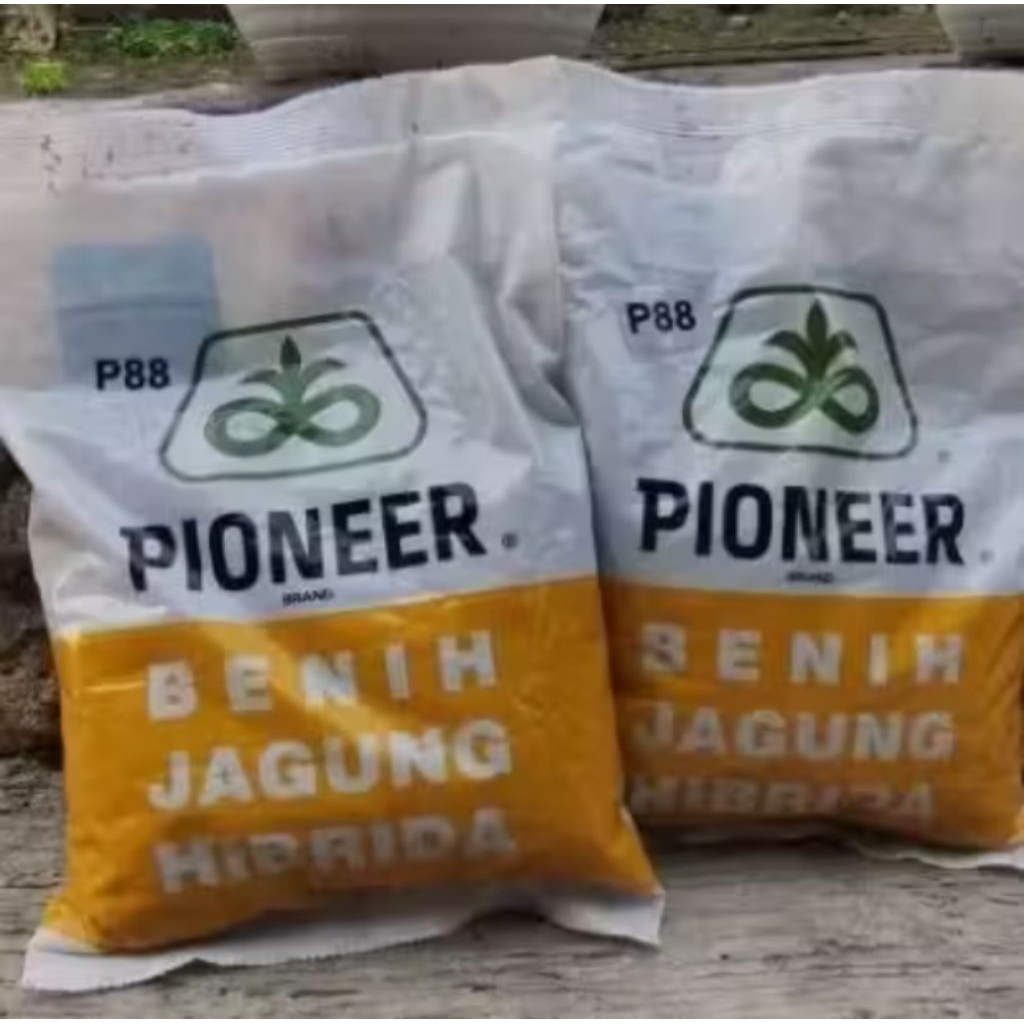 BENIH JAGUNG HIBRIDA PIONEER P88 TENTRAM KEMASAN 1KG ORIGINAL