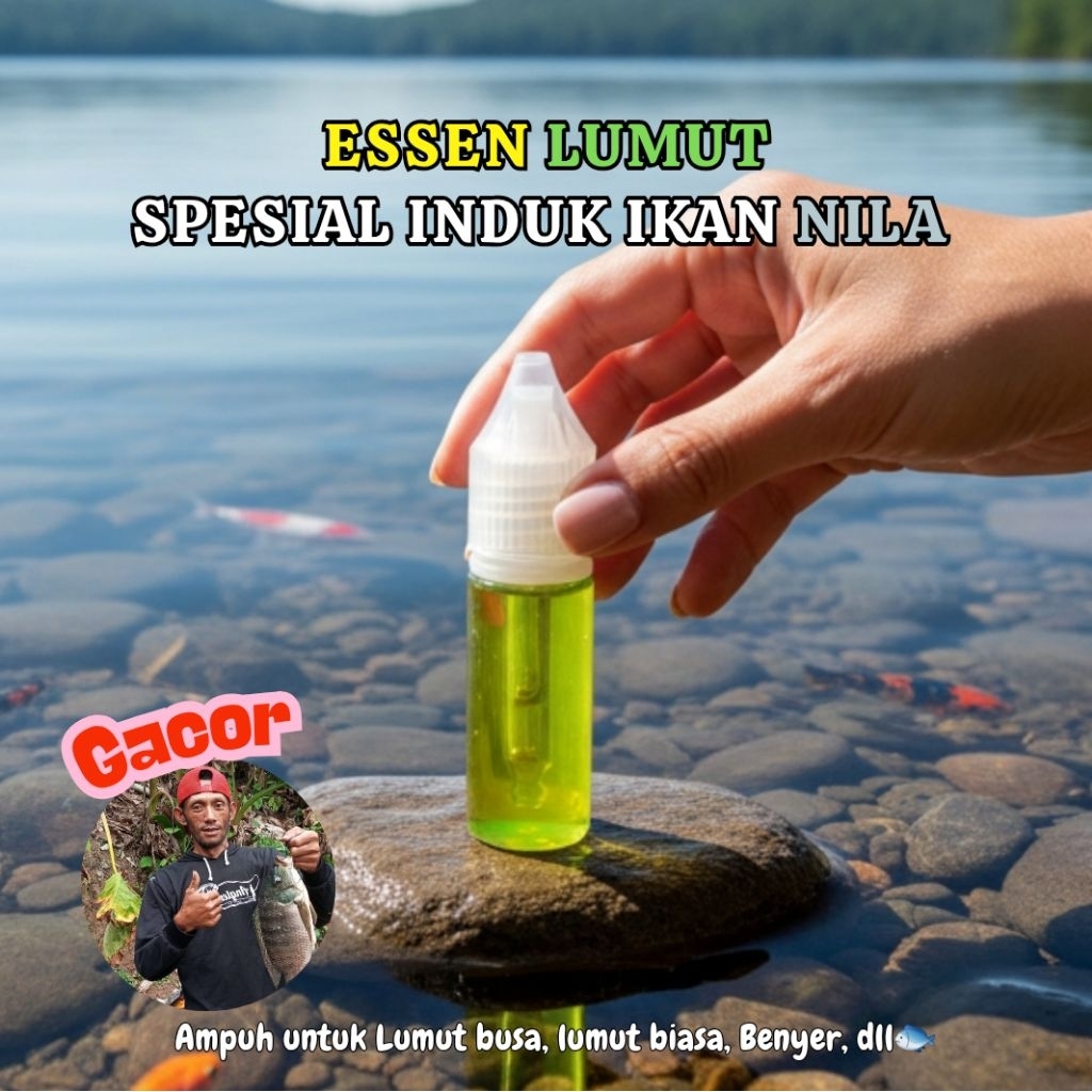 SPESIAL Essen Ikan Nila Juara, Essen Ikan Nila Spesial, Essen Ikan Nila Gacor